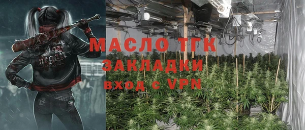 тгк Бородино